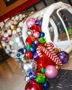 Inflatable Bubble House Rental Services